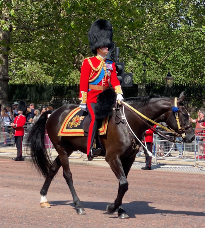 Prince of wales at Trooping the colour 